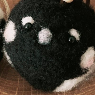 mus1c_freedom's profile picture. 向井康二担_骨格ウェーブのアラサーOL_🍫👶🏻母