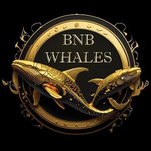 BNB Whales are coming , Daily buybacks , Burns , Big things coming  

BSC contract 0x8689DeA88EC1E2638250Eef702E722C6dACFF70E