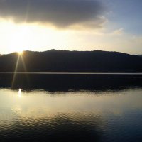 まけ 🌛 (@make16ota) 's Twitter Profile Photo