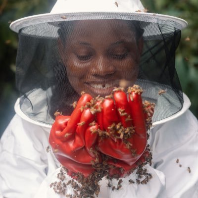 Nigeria's No 1 Beekeeper. 100% Raw Honey. If i don't harvest it, I won't sell it™️ NAFDAC APPROVED IG: @fauzziyahshoney WhatsApp: 09169167897