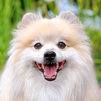 しーち (@c_ci43) 's Twitter Profile Photo しーち (@c_ci43) 's Twitter Profile Photo