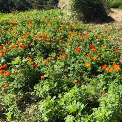 aci_er_10205's profile picture. 🫡👉🤓😎🥸🤡/DAIKI