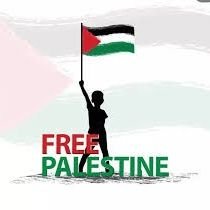 Free Palestine 🇰🇼🇧🇷