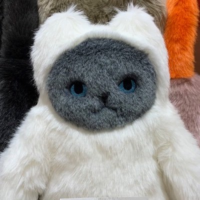 KEORA KEORAさんのプロフィール画像