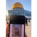 Walaa✨🍂 (@walaaah41381220) Twitter profile photo Walaa✨🍂 (@walaaah41381220) Twitter profile photo