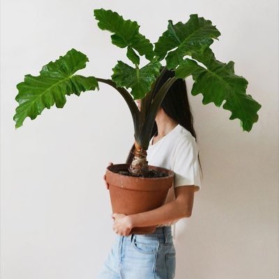أمٌ لِـبذرة وصديقةٌ لِـنبتة 🌱 مُهتمه بالنبات الداخلي 🪴 أجد نفسي في التصوير 📷 الرسم 🎨 والتطريز 🧵