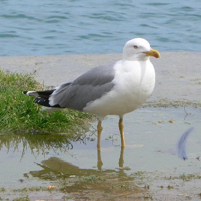 alex_oui_ok's profile picture. je cherche le soleil au milieu de la nuit