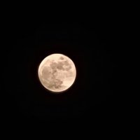 Mohammed Sh (@mohamme36971184) Twitter profile photo