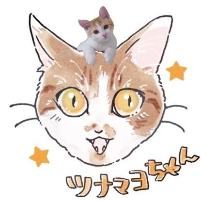 ねこちゃんのにゃんたまωおちり🍑大好きな主の日々をつぶやくアカウントฅ🐾໊
🐱ツナマヨ3歳♂
👩🏻アラフォーゆるオタ🐈ツナマヨガチ勢🐈茶白好き🤗
画像は無断転写、使用お断り🙅🏻🆖
DMはお返事しません🙇🏻‍♀️
アイコンは トポハナさん @topo_cat_1 に描いていただきました🐈