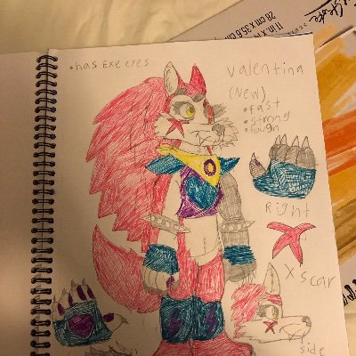 Valentina is a cute, fast and tough hedgehog who likes sonic and angry birds, She has a dark side that can possessed her when any Sonic villain capture sonic.