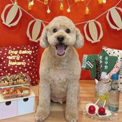 整形割引紹介できます🥺❤無言フォローします🙏セラミック2回、埋没、二重全切開、大胸筋下豊胸、鼻中隔延長、耳介軟骨、鼻プロテ2回、小鼻縮小、眉下切開、 糸リフト、涙袋、唇、顎ヒアル、鼻尖形成、人中短縮、膣縮小、ひだ形成、額こめかみヒアル🤫眼瞼下垂DT終わり