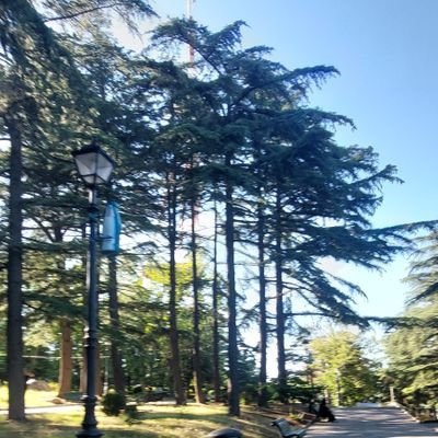 Barhoom_sanad's profile picture. #dubai