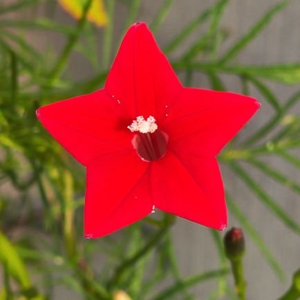 Whw12356's profile picture. 