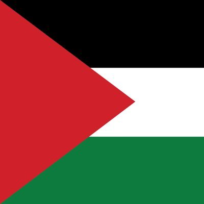 Protest News Palestine for Ottawa