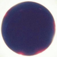 Mind (@mindofthesource) Twitter profile photo