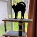Charlie and, um. . .Bogie (@charlieblackca1) Twitter profile photo Charlie and, um. . .Bogie (@charlieblackca1) Twitter profile photo