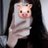 bapxinh18tui's profile image
