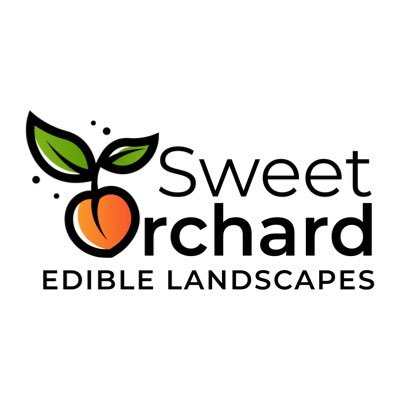 SweetOrchard_ Profile Picture