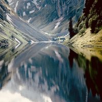 Mountain Peasant (@peasant17761789) 's Twitter Profile