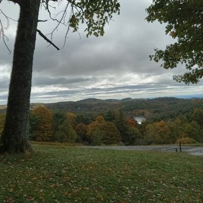 MtnHomebody's profile picture. 