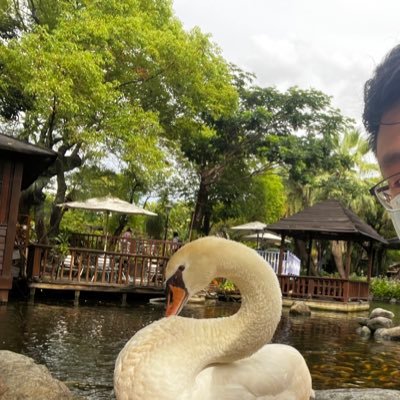 #雲林