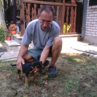 Одсутан 🐦 (@bioprisutan) 's Twitter Profile Photo Одсутан 🐦 (@bioprisutan) 's Twitter Profile Photo