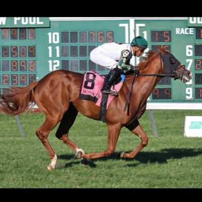 icastillojockey's profile picture. Official Account for Jockey Isaac Castillo 🇵🇦 Instagram: @isaacastillo1098 Facebook: https://t.co/N740mIhtdy