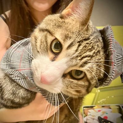 a6_4s's profile picture. 