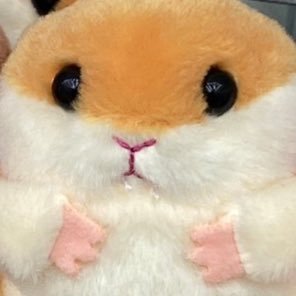 ejrqo234's profile picture. 덕배