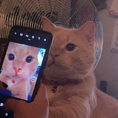 pllluuky's profile picture. 