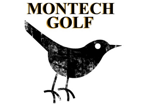 Montechgolf's profile picture. Montech was founded in 1993 by PGA Lifetime Professional, Ed Montgomery, to provide the everyday golfer with the same equipment as the Professionals.
