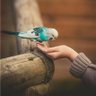 alhaneenn__'s profile picture. ارواحنا ليّنة تُميل لمن يُسعدها
ويُبهجها ويستثنيها ويُضيئها دائماً❤