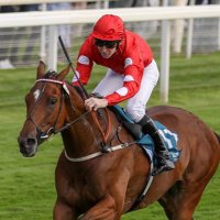 Jack Lander (@jacksijfwalk) 's Twitter Profile