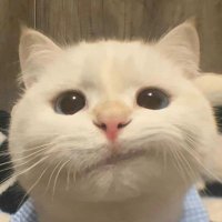 marrrr (@mariebluem) 's Twitter Profile