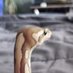Hourly Snakes 🐍 (@snakehour) Twitter profile photo Hourly Snakes 🐍 (@snakehour) Twitter profile photo