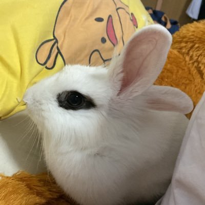 สดใสร่าเริงเข้าไว้นะ🎐