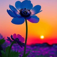 Ahmed eldosoky (@ahmed657396) 's Twitter Profile