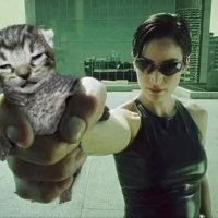 Dennis (@skinned_worm) 's Twitter Profile