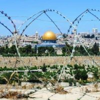 Muhammed Yıldırım (@muhammedprmdk) Twitter profile photo