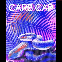 CARB CAP (@carbcapmusic) 's Twitter Profile