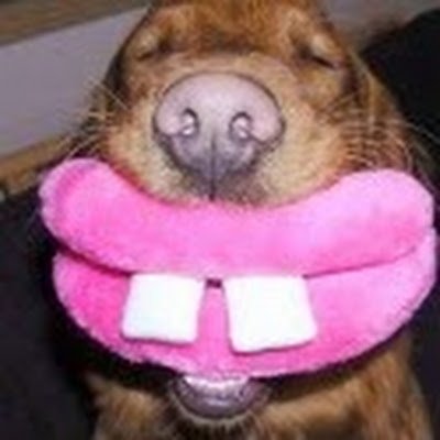 monologues65491's profile picture. 