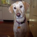 David Brule II - @davebrule2 - Twitter