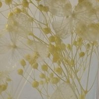 secant (@secissecant) 's Twitter Profile