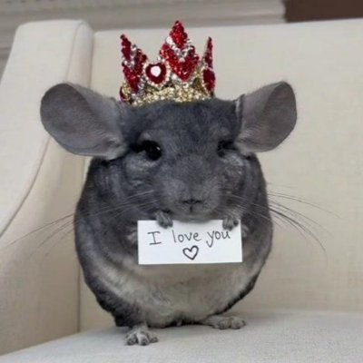 Professor_Ho_Oh's profile picture. AI, poesia, anime.