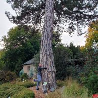 Trauri Fundi (@lexfundi) 's Twitter Profile