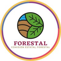 Comisión Estatal Forestal(@COESFO_GobOax) 's Twitter Profile Photo