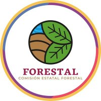 Comisión Estatal Forestal (@coesfo_goboax) 's Twitter Profile