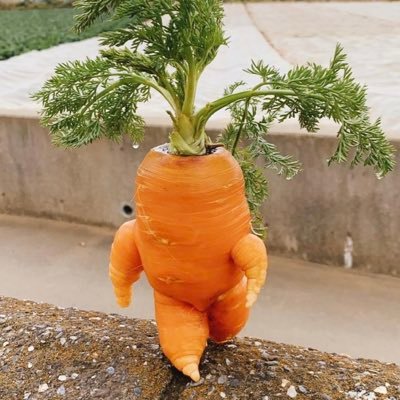 kabakun2023's profile picture. 日蓮正宗法華講員で社会人23歳です、同門の恩師との妙縁で約2年間の引き篭りから脱出しました、仏国土日本🇯🇵、長濱ねるサン、渡邉美穂サン、渡辺莉奈サン、坂道グループが大好きです、創価/顕正会/他のカルトと攻撃的で反日的な方は即ブロックします、下肢障がい者👨‍🦽ですが感謝と前向きな気持ちで日々精進です。