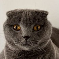Cossky666 (@cossky666) 's Twitter Profile
