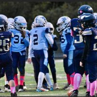 Zach Noel (@zachary_23cv) 's Twitter Profile